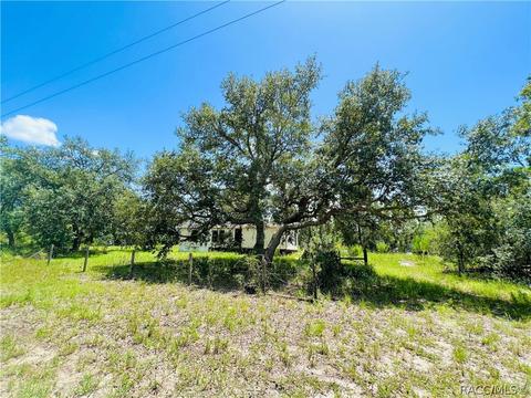 11710 NE 66th St, Williston, FL 32696 photo 4