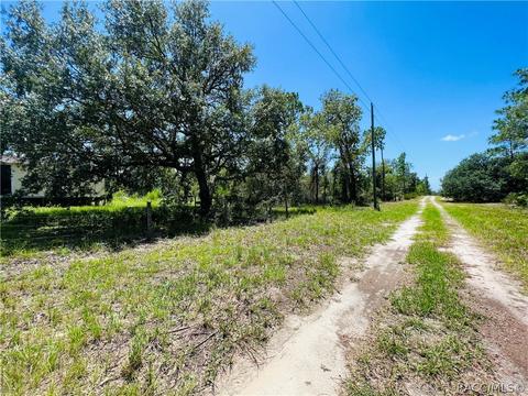 11710 NE 66th St, Williston, FL 32696 photo 5