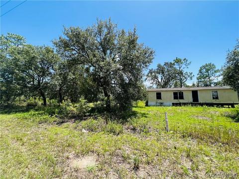 11710 NE 66th St, Williston, FL 32696 photo 2