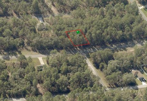3134 W Citrus Springs Blvd, Citrus Springs, FL 34433