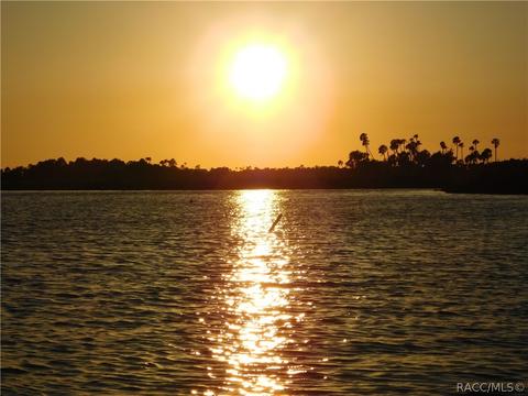 1705 W Spring Meadow Loop, Lecanto, FL 34461 photo 65
