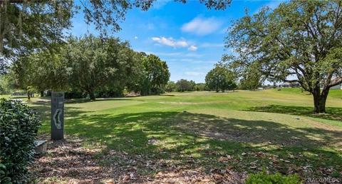 1705 W Spring Meadow Loop, Lecanto, FL 34461 photo 50