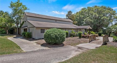 1705 W Spring Meadow Loop, Lecanto, FL 34461 photo 49