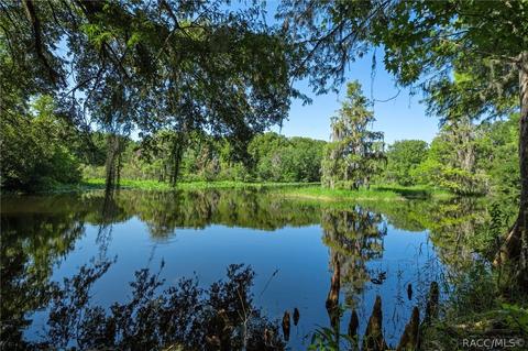 9222 E Hampton Point Rd, Inverness, FL 34450 photo 3