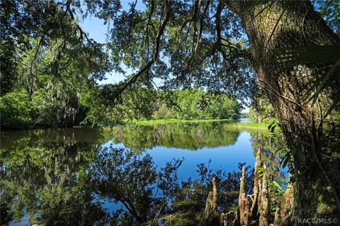 9222 E Hampton Point Rd, Inverness, FL 34450 photo 4