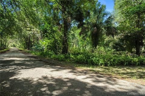 9222 E Hampton Point Rd, Inverness, FL 34450 photo 11