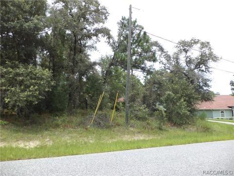 3013 W Eunice Dr, Citrus Springs, FL 34433