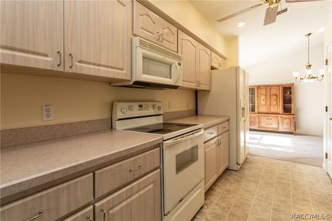 3783 E Kiwi Cove Ct, Hernando, FL 34442 photo 25