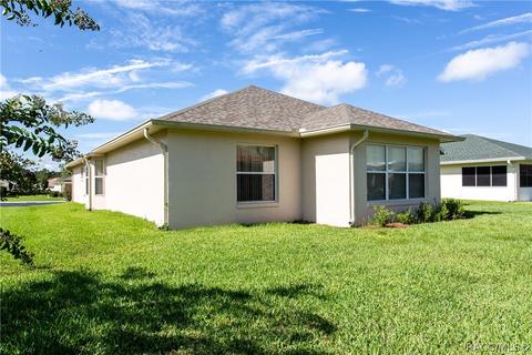 3783 E Kiwi Cove Ct, Hernando, FL 34442 photo 11