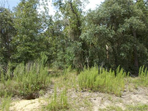 269 E Lancaster St, Lecanto, FL 34461 photo 4