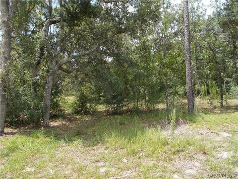 269 E Lancaster St, Lecanto, FL 34461 photo 8