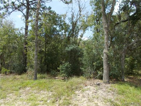 269 E Lancaster St, Lecanto, FL 34461 photo 5