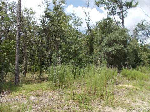 269 E Lancaster St, Lecanto, FL 34461 photo 9