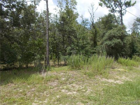 269 E Lancaster St, Lecanto, FL 34461 photo 2