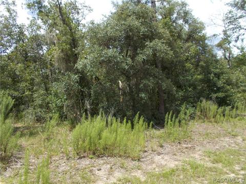 269 E Lancaster St, Lecanto, FL 34461 photo 7