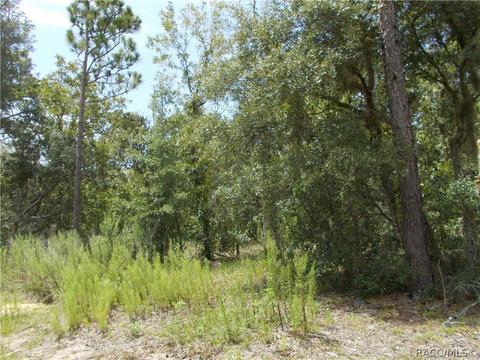 269 E Lancaster St, Lecanto, FL 34461 photo 6