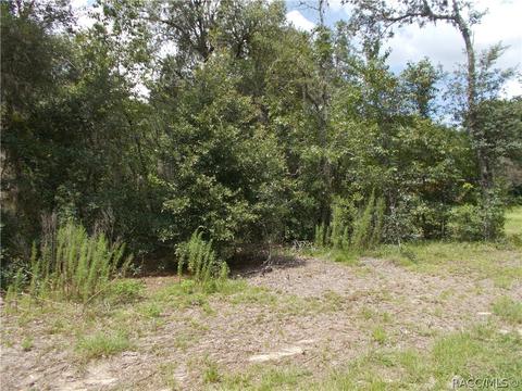 269 E Lancaster St, Lecanto, FL 34461 photo 3