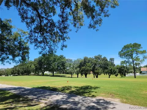 385 E Glassboro Ct, Hernando, FL 34442 photo 39
