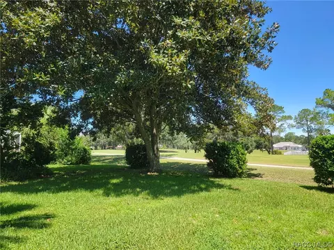 385 E Glassboro Ct, Hernando, FL 34442 photo 38