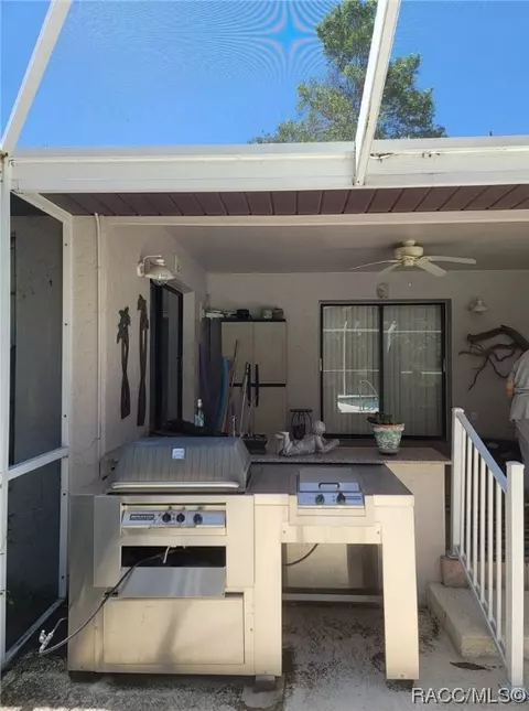 385 E Glassboro Ct, Hernando, FL 34442 photo 35