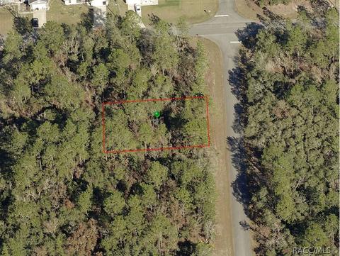 6448 N New Japan Ter, Citrus Springs, FL 34434