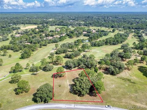 3373 W Shadow Creek Loop, Lecanto, FL 34461 photo 1