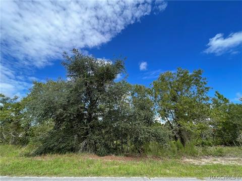 3 Dahlia Ct N, Homosassa, FL 34446