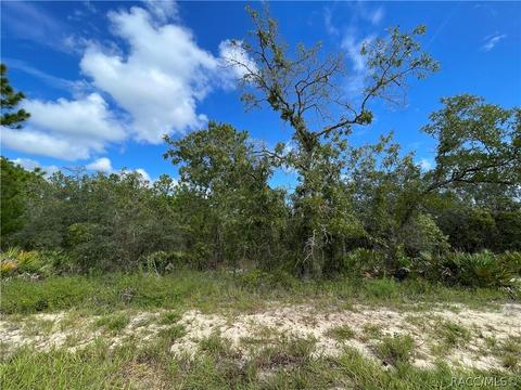 13 Gazania Ct, Homosassa, FL 34446