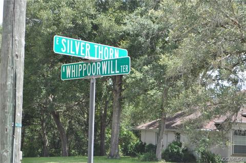 1390 E Silver Thorn Loop, Hernando, FL 34442 photo 52