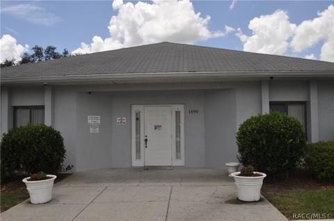 1390 E Silver Thorn Loop, Hernando, FL 34442 photo 35