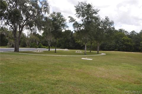 1390 E Silver Thorn Loop, Hernando, FL 34442 photo 43