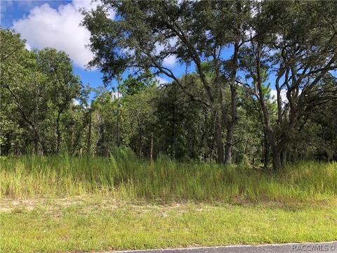 2293 W Begonia Dr, Beverly Hills, FL 34465