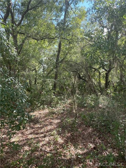 11864 W Cornflower Dr, Crystal River, FL 34428