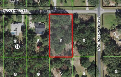 484 W Olympia St, Hernando, FL 34442