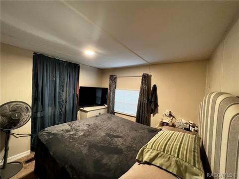 4245 E Lake Park Dr, Hernando, FL 34442 photo 16
