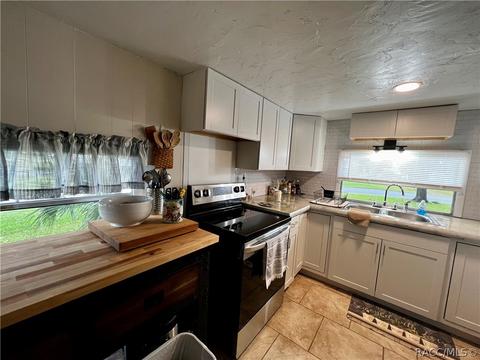 4245 E Lake Park Dr, Hernando, FL 34442 photo 6