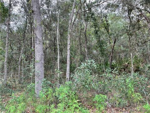 6623 W Erlen Ln, Homosassa, FL 34446