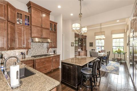 1415 N Eagle Ridge Path, Hernando, FL 34442 photo 40