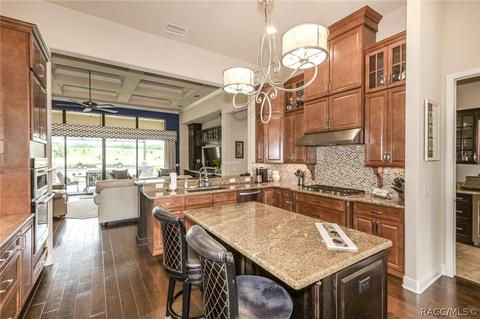 1415 N Eagle Ridge Path, Hernando, FL 34442 photo 41