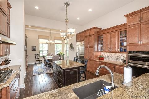 1415 N Eagle Ridge Path, Hernando, FL 34442 photo 38