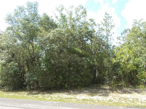 1802 E Lot 20 E Ridgefield Dr, Hernando, FL 34442 photo 2