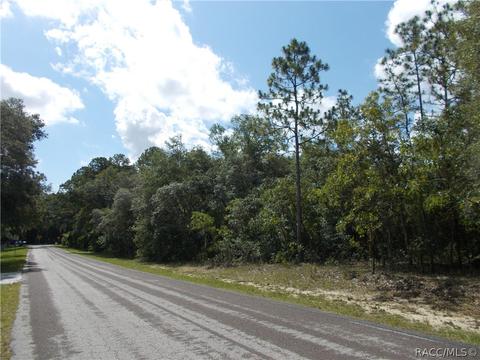 1802 E Lot 20 E Ridgefield Dr, Hernando, FL 34442 photo 4