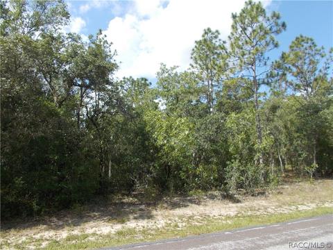 1802 E Lot 20 E Ridgefield Dr, Hernando, FL 34442
