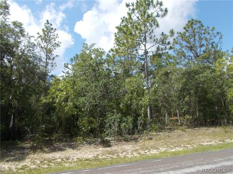 1802 E Lot 20 E Ridgefield Dr, Hernando, FL 34442 photo 3