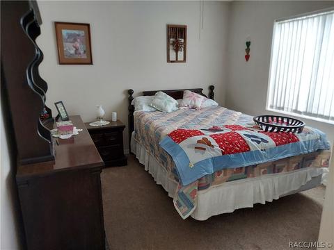 368 N Turkey Pine Loop, Lecanto, FL 34461 photo 19