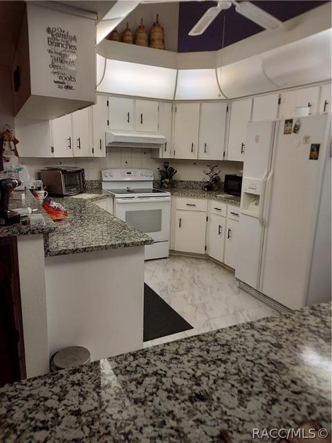 368 N Turkey Pine Loop, Lecanto, FL 34461 photo 12