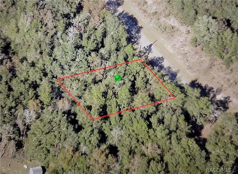 11268 N Terra Cotta Dr, Citrus Springs, FL 34434