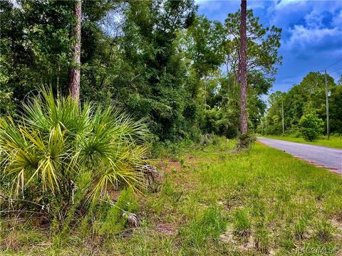 2921 W Grapevine Ct, Dunnellon, FL 34433
