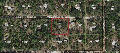 502 E Katie St, Hernando, FL 34442 photo 1