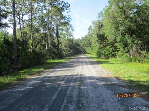 9063 N Cavewood Ave, Crystal River, FL 34428